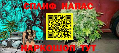 шишки Ливны