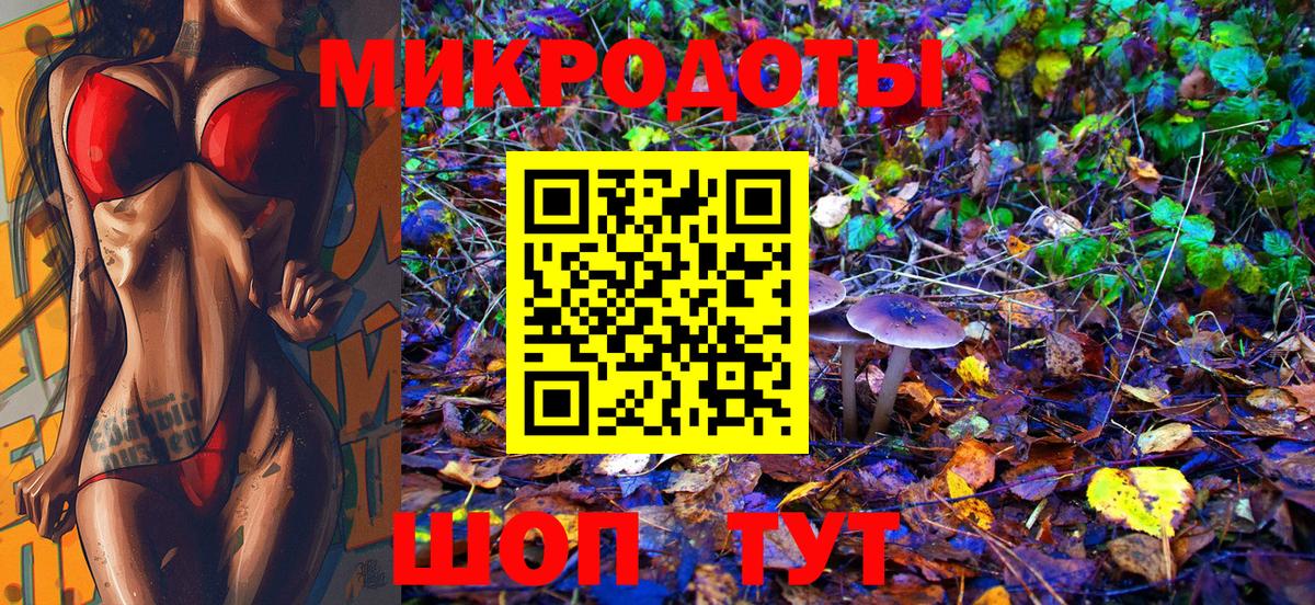 Псилоцибиновые грибы Psilocybe Ирбит
