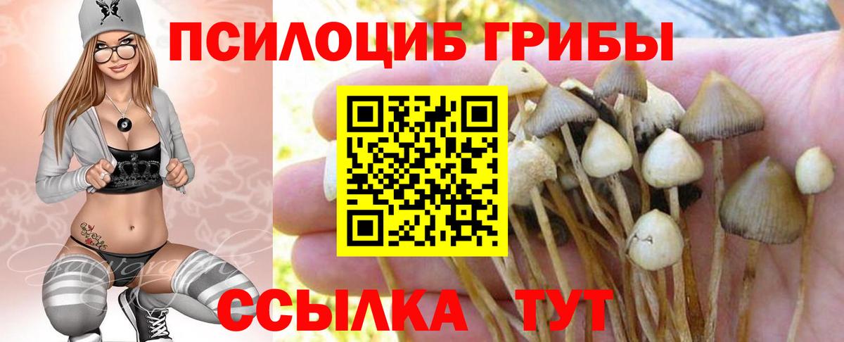 Псилоцибиновые грибы мухоморы  где продают наркотики  Ирбит  Псилоцибиновые грибы Magic Shrooms  Вход с VPN 